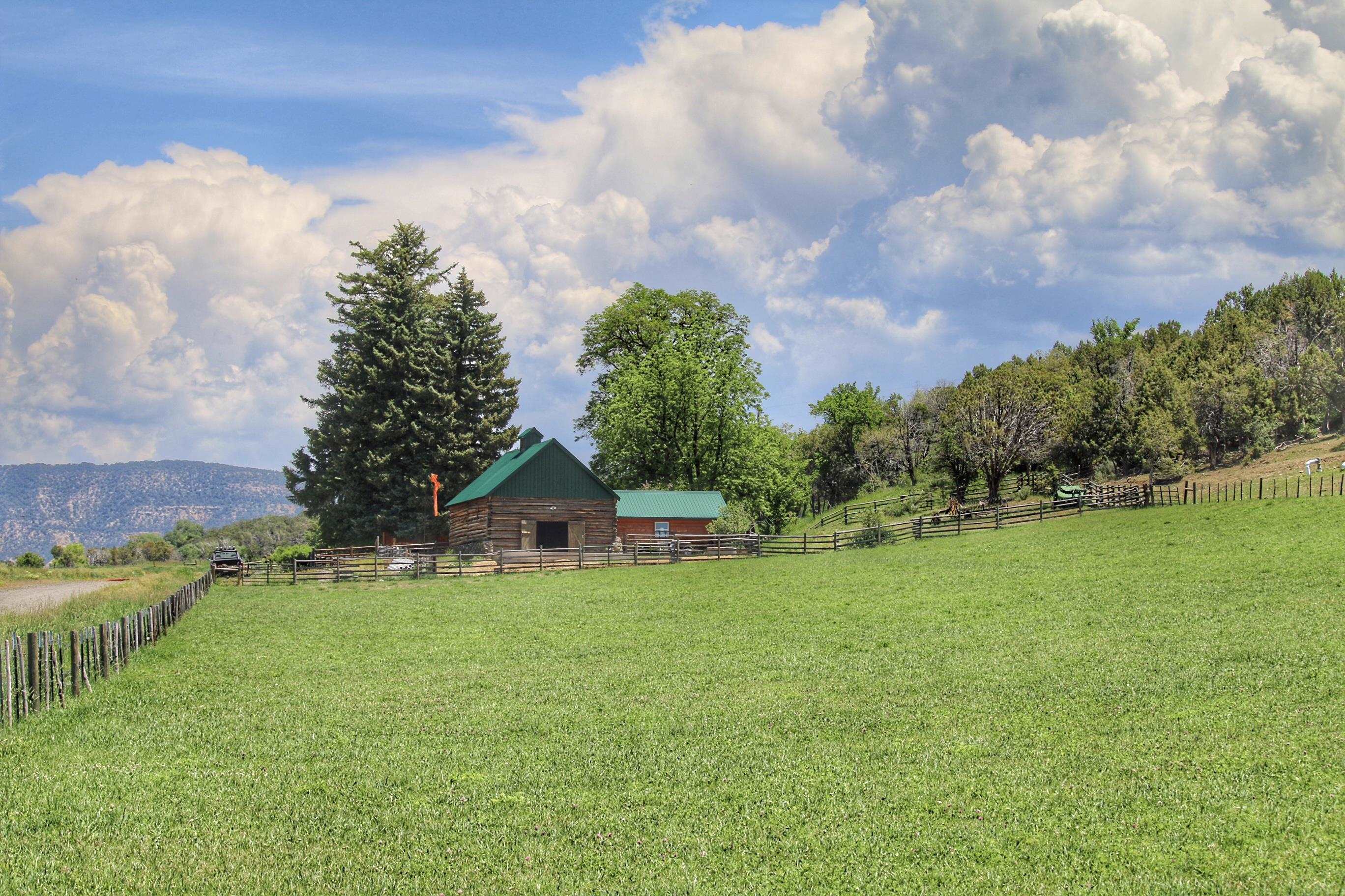 55945 Oe Road Collbran, CO 81624 - Photo 39 of 42