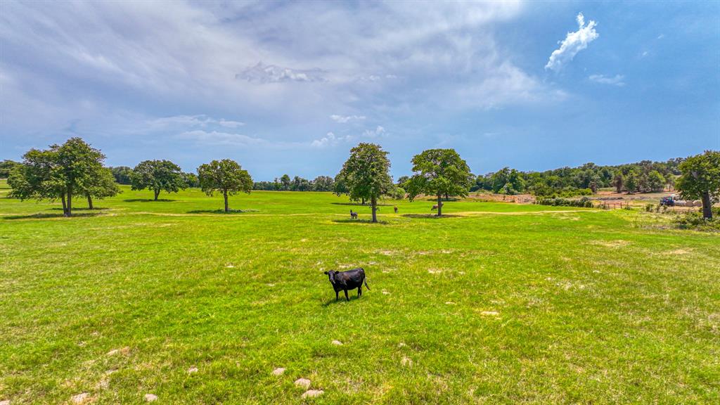 1 Three Quarter Loop Poolville, TX 76487 - Photo 8 of 16 Gallery Image 8