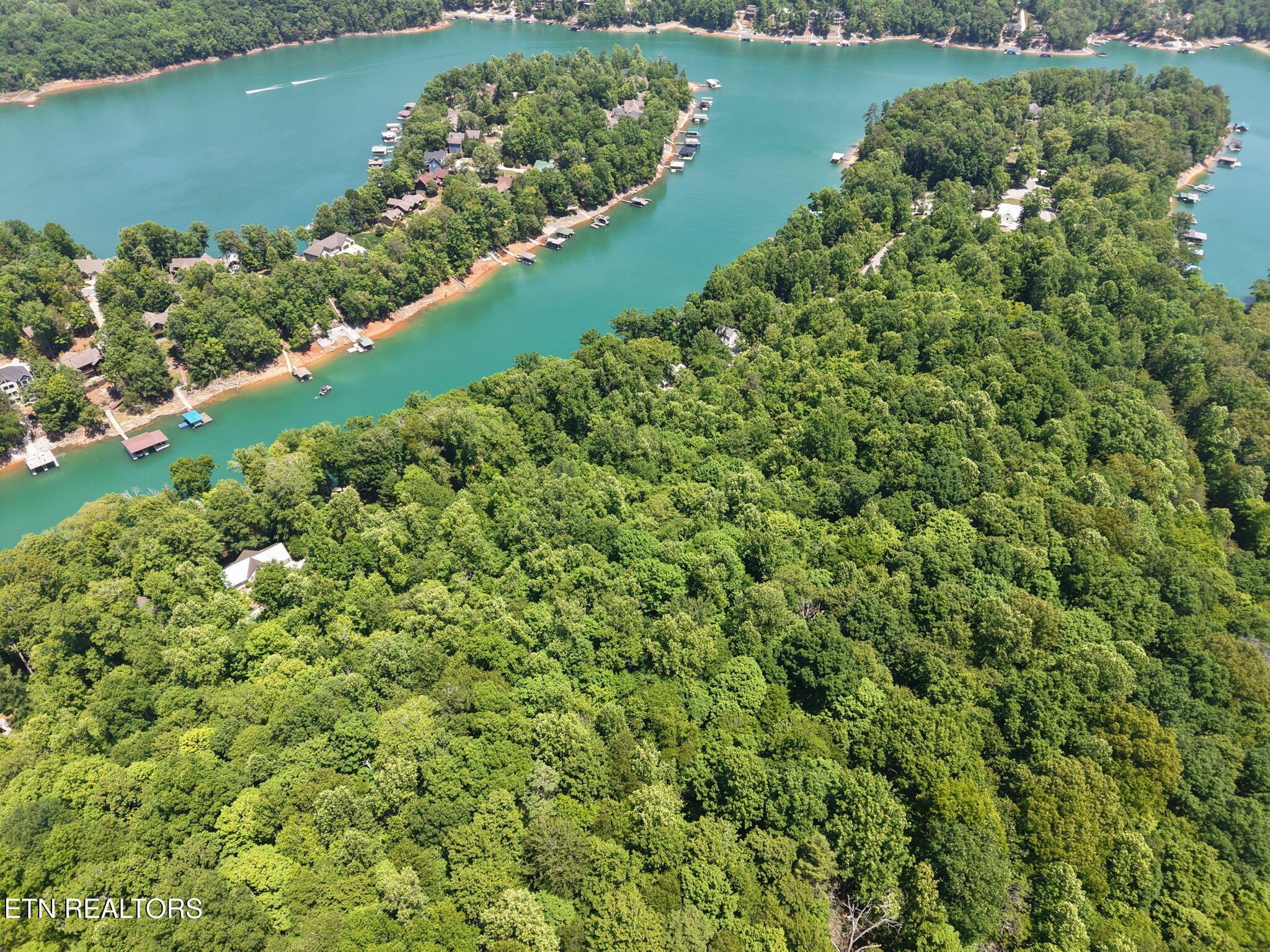 Yoakum Hollow Road Jacksboro, TN 37757 - Photo 1 of 17 12-web-or-mls-DJI_20260518131542_0033_D