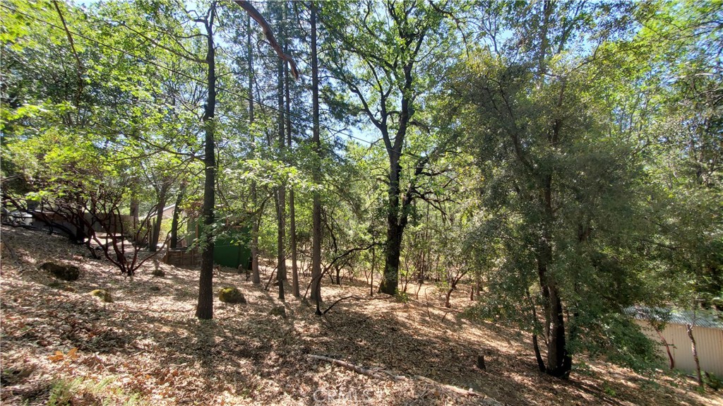 11545 Loch Lomond Road Middletown, CA 95461 - Photo 3 of 5 a view of forest