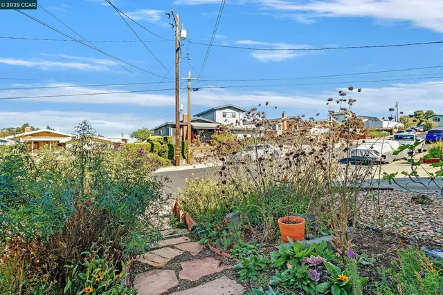 a view of a city with flower in a pots