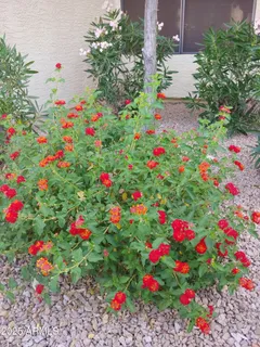 $250,000 | 9990 North Scottsdale Road, Unit 3025, Paradise Valley, AZ 85253