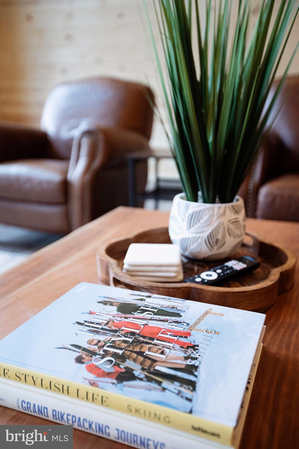 635 Biltmore Rdg Trail McHenry, MD 21541 - Photo 23 of 64 a living room with furniture and a potted plant