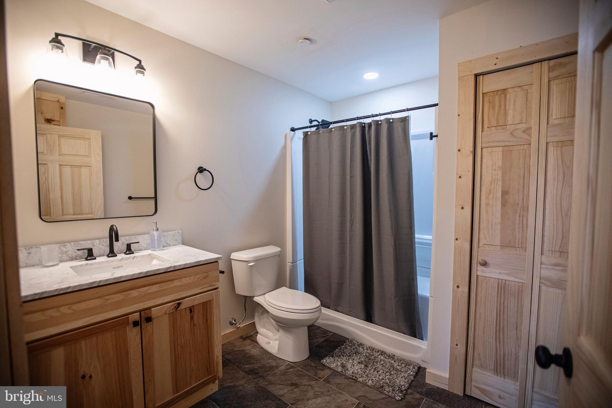 635 Biltmore Rdg Trail McHenry, MD 21541 - Photo 50 of 64 a bathroom with a sink a toilet and shower