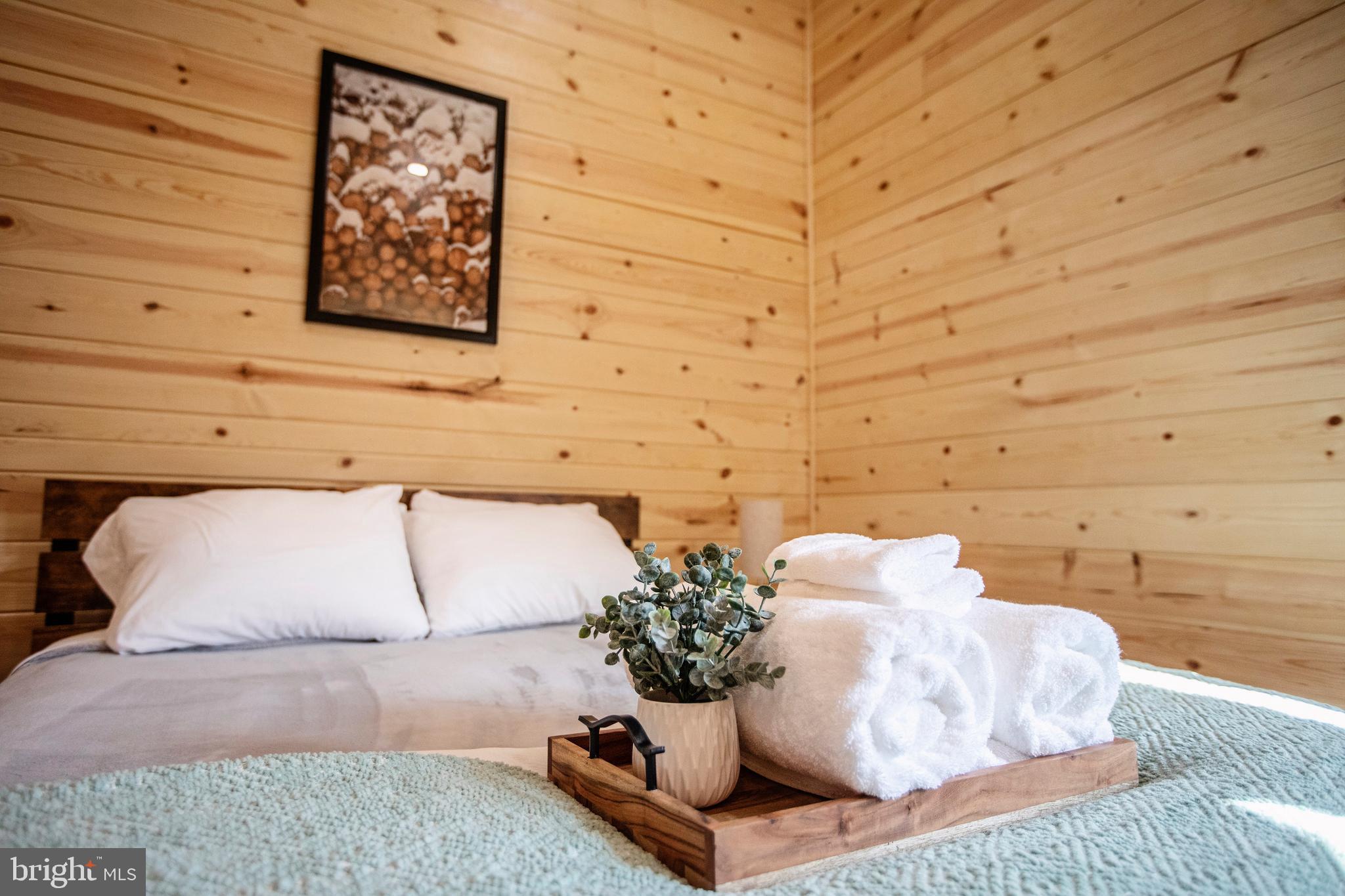 635 Biltmore Rdg Trail McHenry, MD 21541 - Photo 53 of 64 a picture of a couch in a room