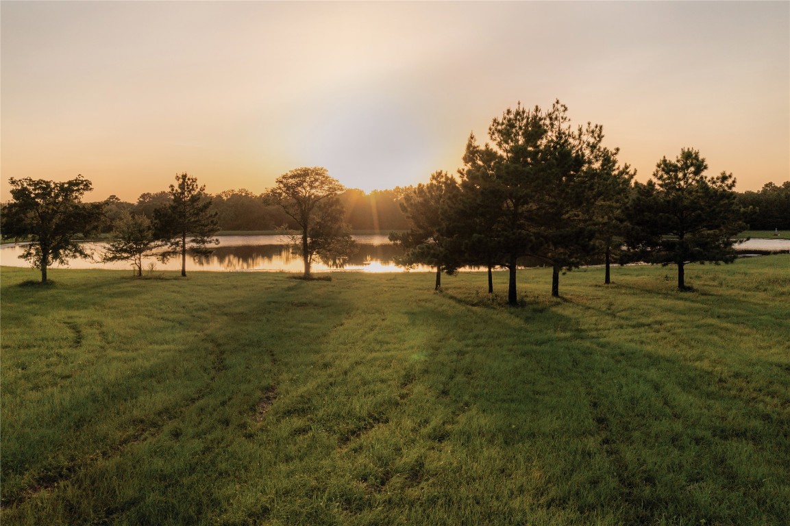 11631 Dawn Tree Lane Willis, TX 77378 - Photo 15 of 19 a view of yard with tree s