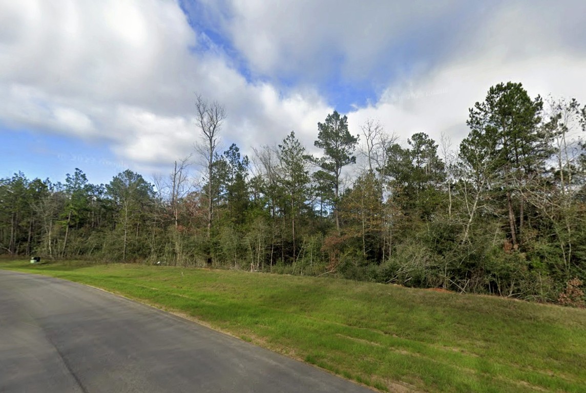 11631 Dawn Tree Lane Willis, TX 77378 - Photo 5 of 19 a view of a grassy field with trees in the background