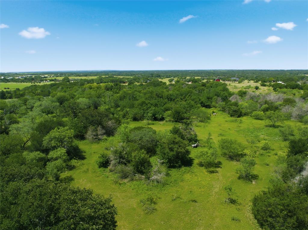 663 North Katy Road Elm Mott, TX 76640 - Photo 10 of 25 Vast acreage featuring abundant mature trees and open grassy areas