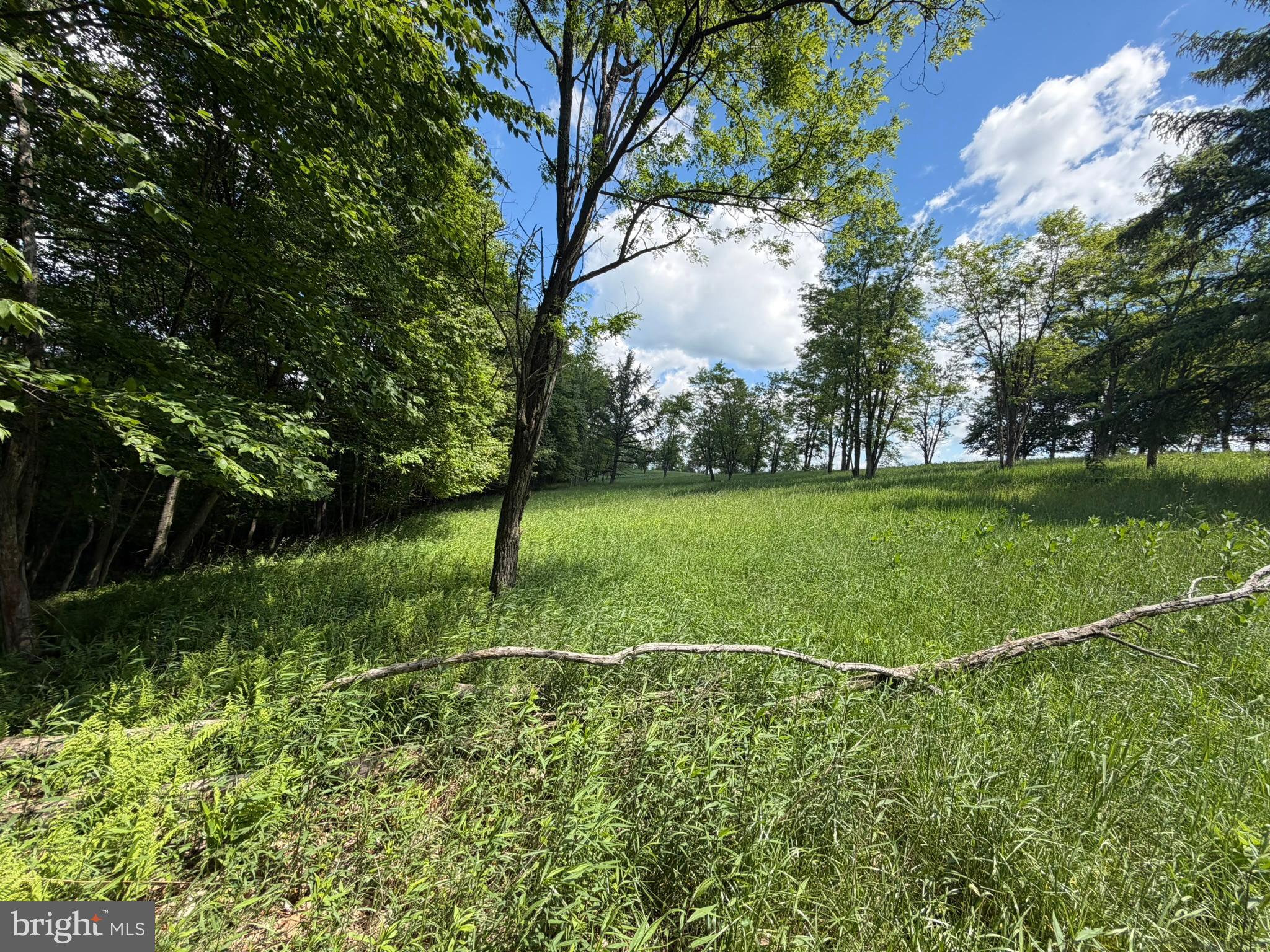 848 Sugar Camp Road Clearfield, PA 16830 - Photo 42 of 118