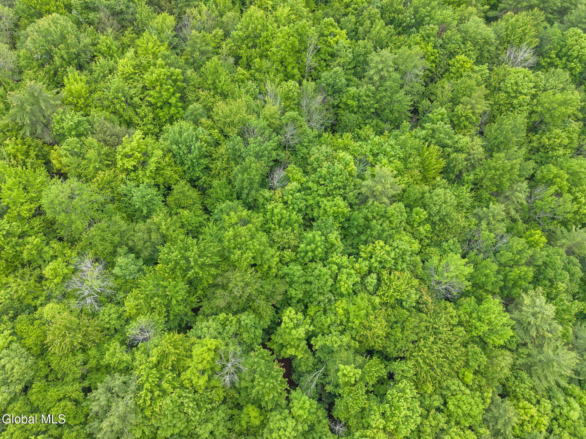 159 Ely Road Gilboa, NY 12076 - Photo 80 of 83 79-159ElyRd_79