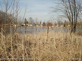 9140 River Valley Road Brighton, MI 48116 - Photo 6 of 14 Huron River