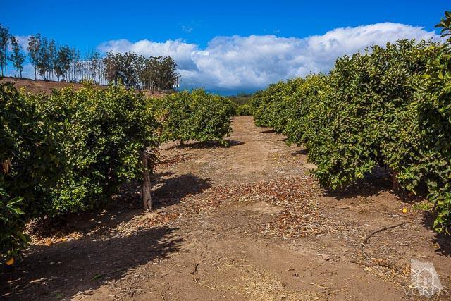 5500 Grimes Canyon Road Moorpark, CA 93021 - Photo 60 of 63 Additional Photo