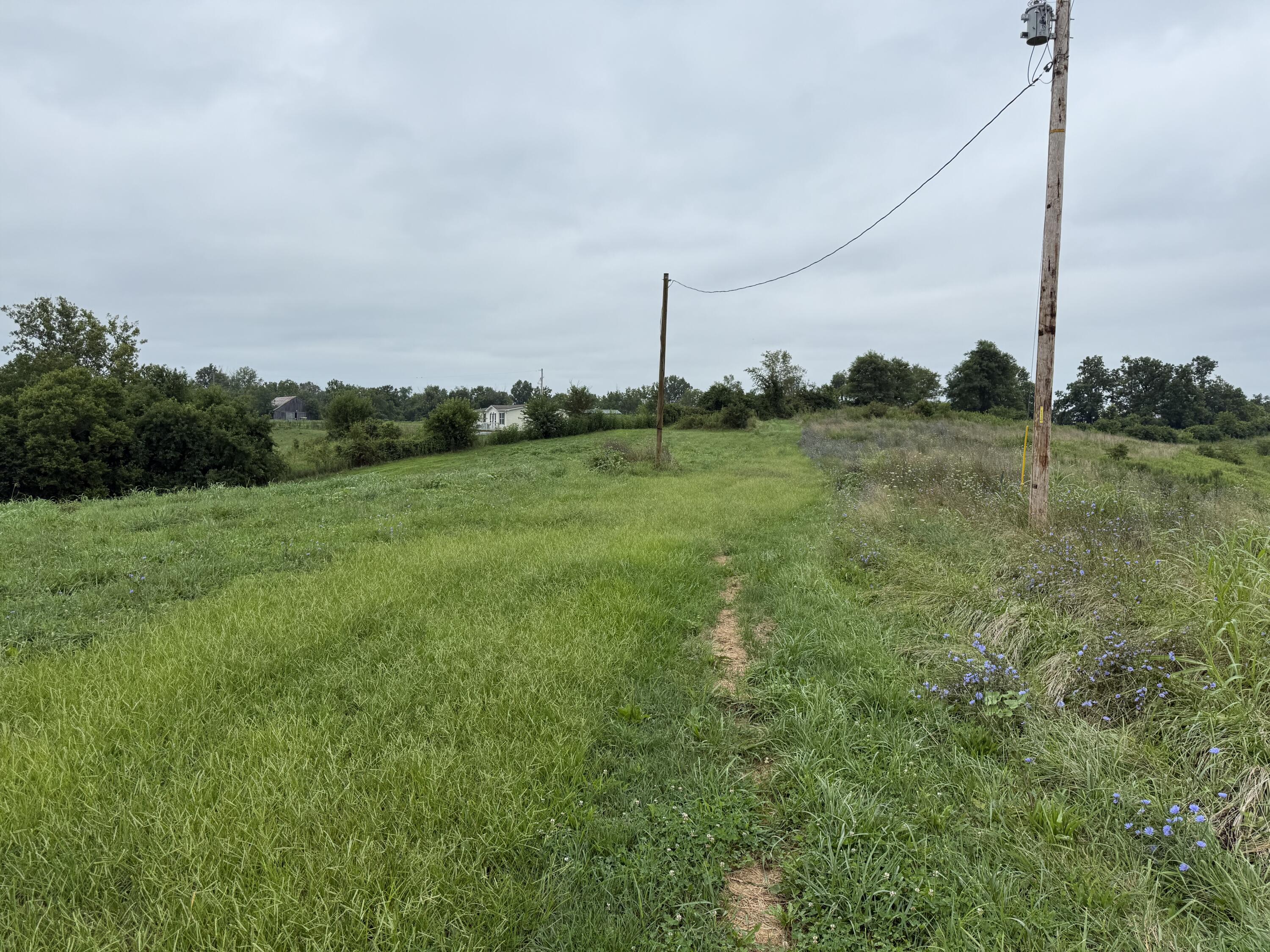 9711 Ironworks Road Winchester, KY 40391 - Photo 8 of 14 IMG_8619
