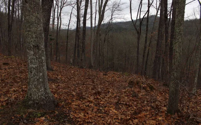 $40,235 | 22 Thunder Road, Hayesville, NC 28904