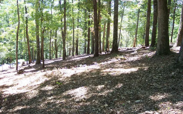 $40,235 | 22 Thunder Road, Hayesville, NC 28904