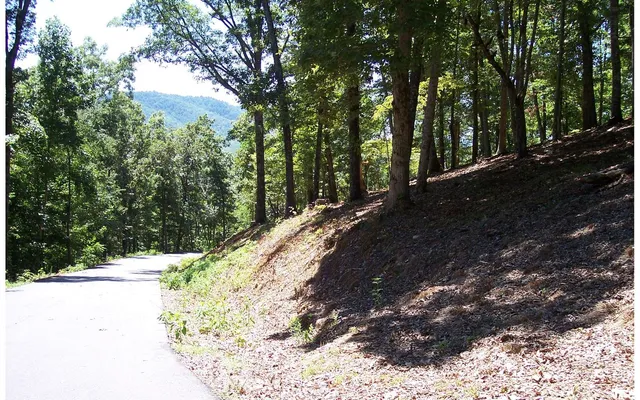 $40,235 | 22 Thunder Road, Hayesville, NC 28904