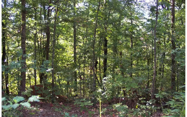 $40,235 | 22 Thunder Road, Hayesville, NC 28904