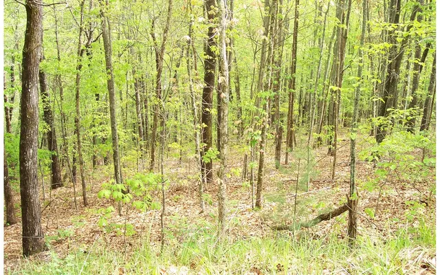 $40,235 | 22 Thunder Road, Hayesville, NC 28904