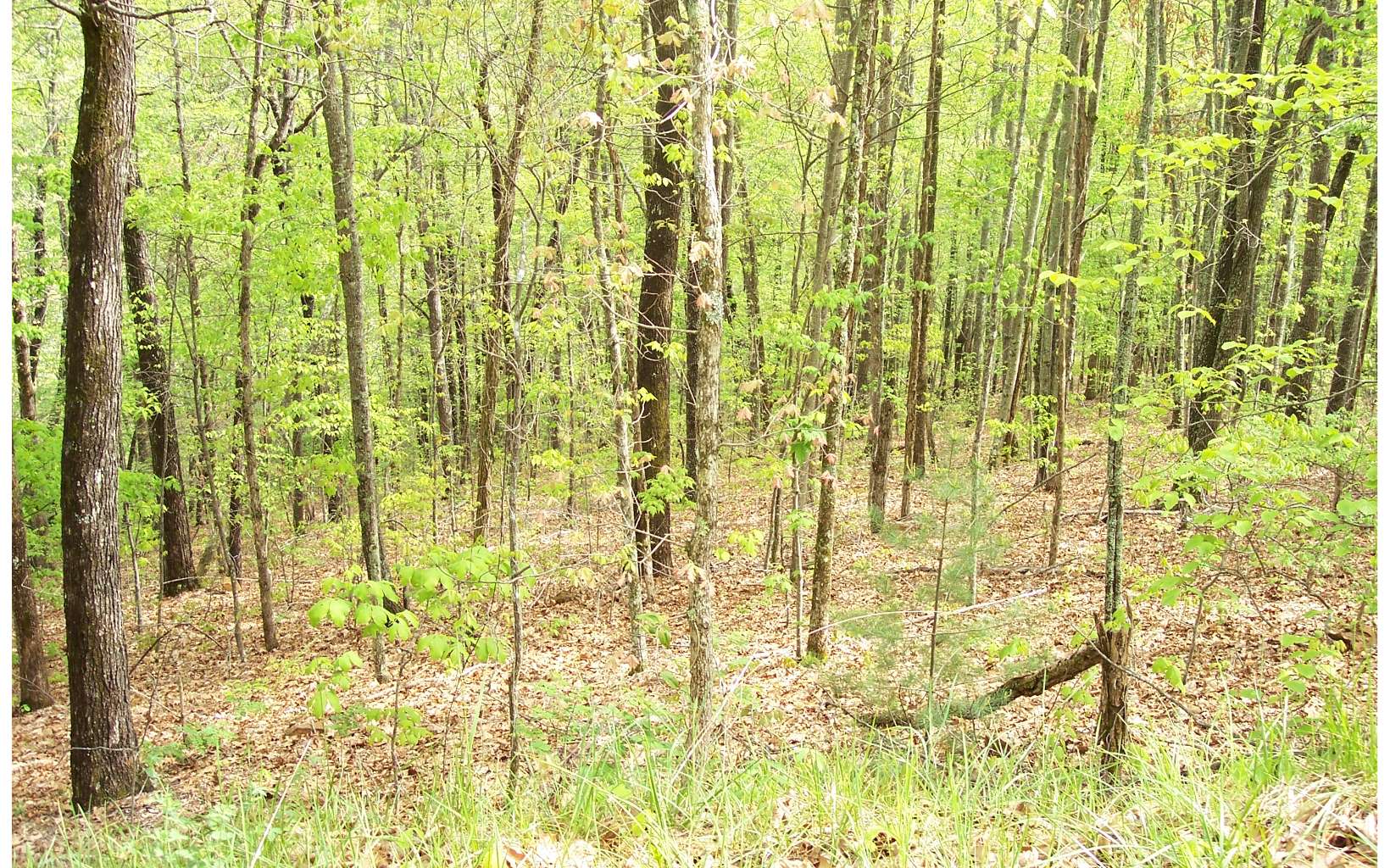 22 Thunder Road Hayesville, NC 28904 - Photo 10 of 10 Additional View