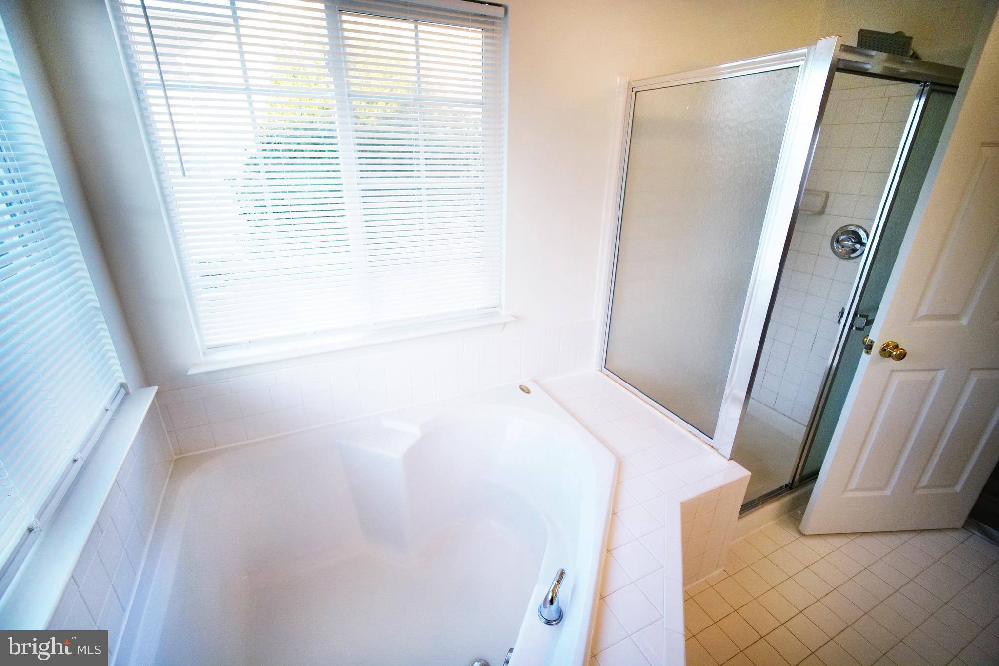 20203 Hopi Drive Ashburn, VA 20147 - Photo 13 of 20 Lux bath w/ soaker tub + separate shower