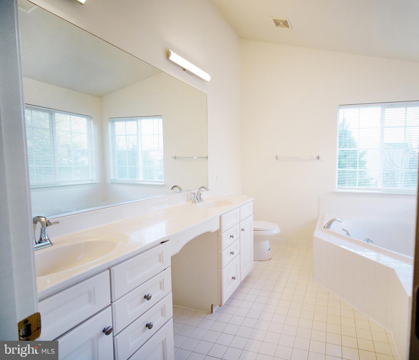 20203 Hopi Drive Ashburn, VA 20147 - Photo 14 of 20 Double vanity w/ storage & natural light