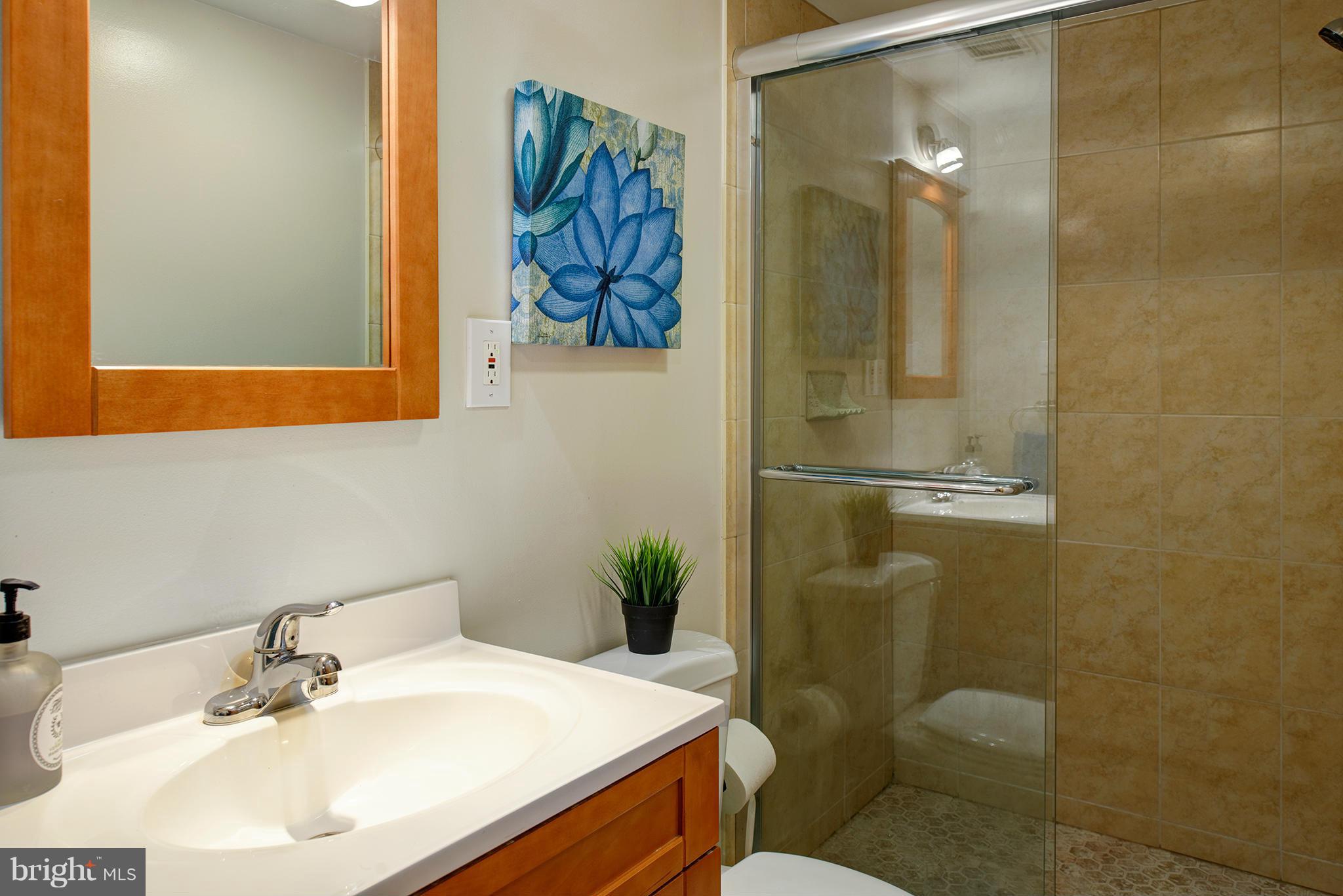 2407 Myrtle Lane Reston, VA 20191 - Photo 18 of 28 a bathroom with a sink and mirror with toilet
