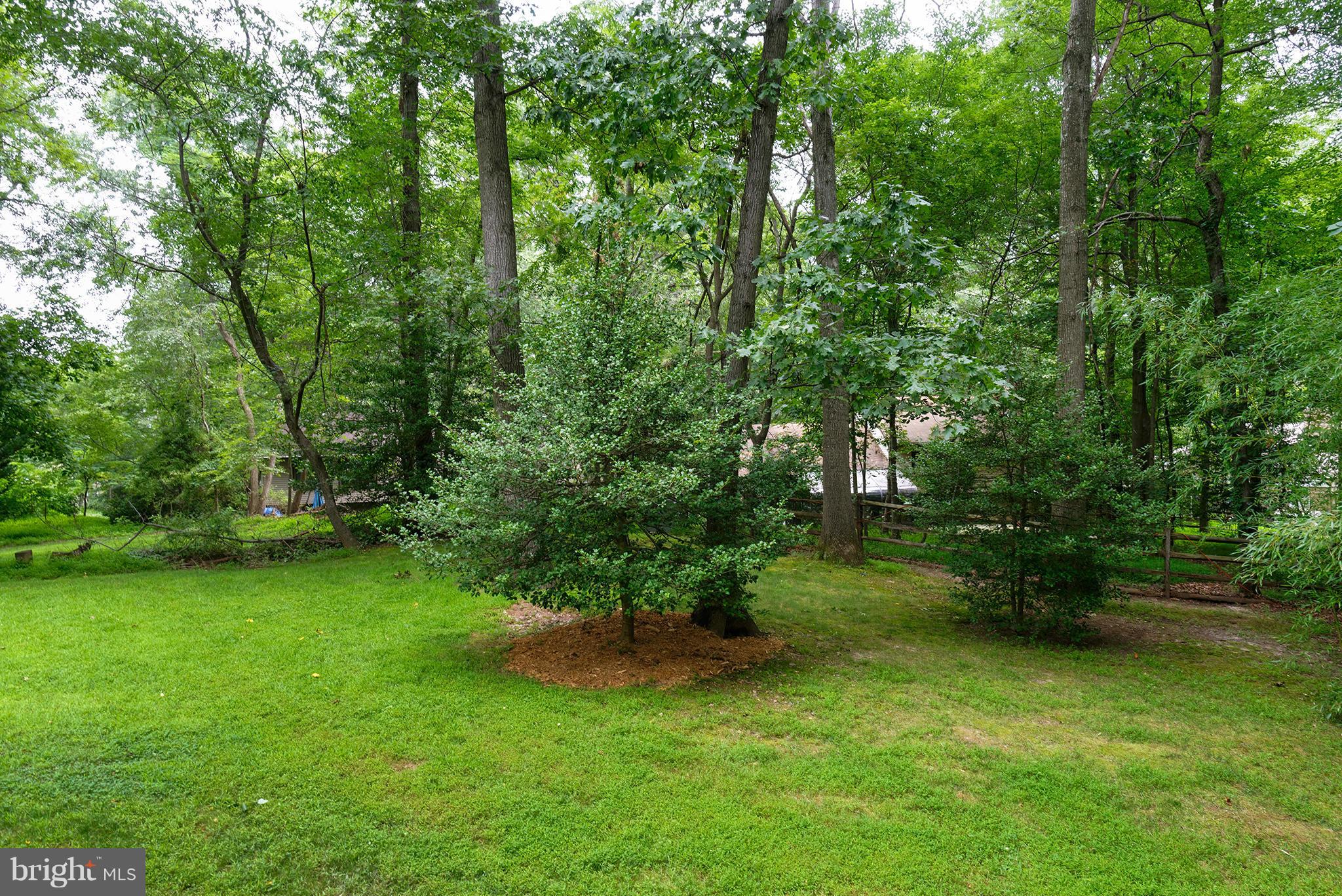 2407 Myrtle Lane Reston, VA 20191 - Photo 28 of 28 a view of a garden with a trees
