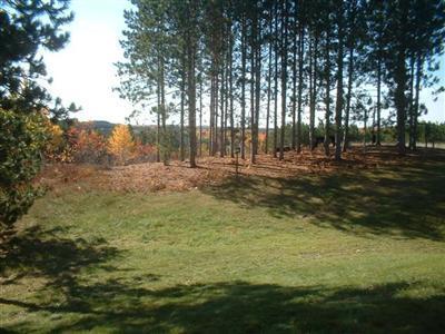 10458 East 16 Road Manton, MI 49663 - Photo 3 of 14 Additional Photo
