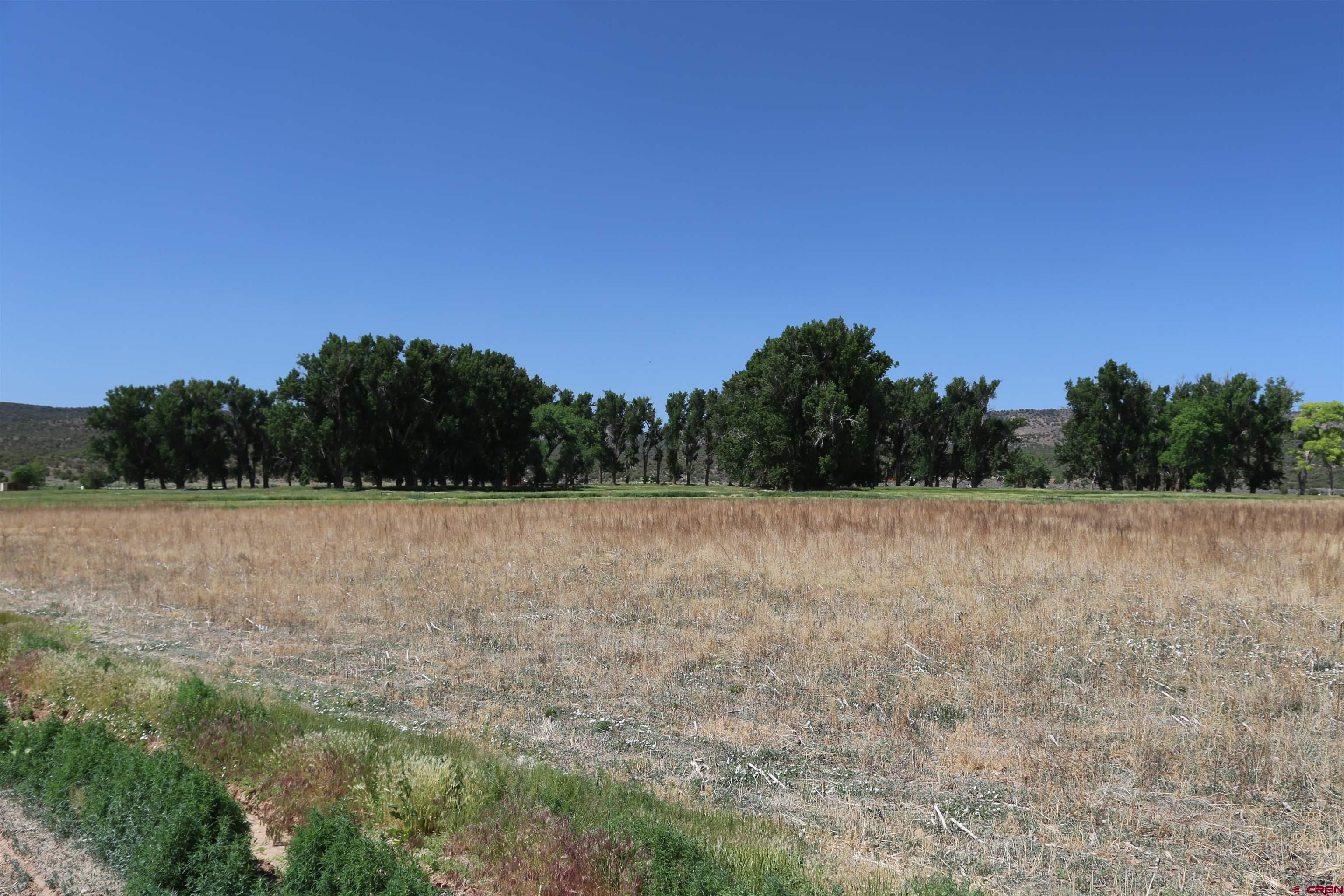 Tbd Shavano Valley Road Montrose, CO 81401 - Photo 1 of 7 a view of outdoor space with green field and trees