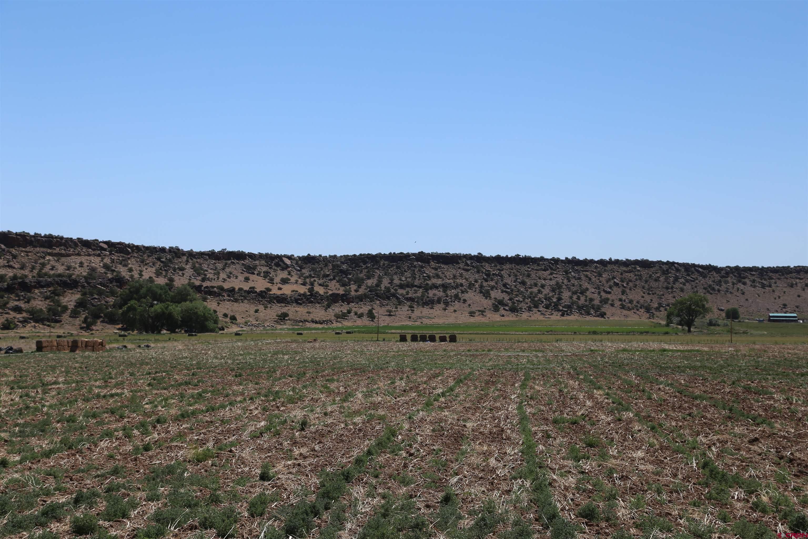 Tbd Shavano Valley Road Montrose, CO 81401 - Photo 2 of 7 a view of a field with an ocean
