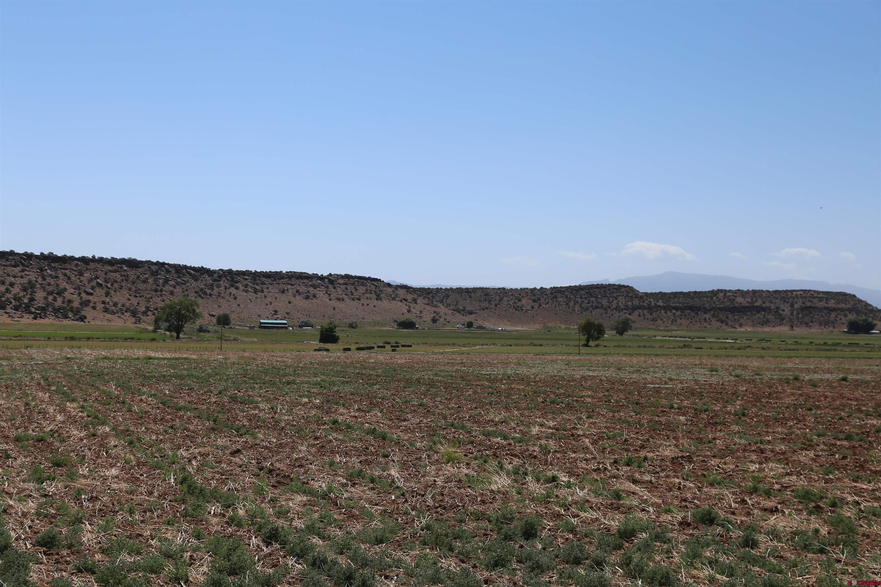 Tbd Shavano Valley Road Montrose, CO 81401 - Photo 3 of 7 a view of an outdoor space and mountain view