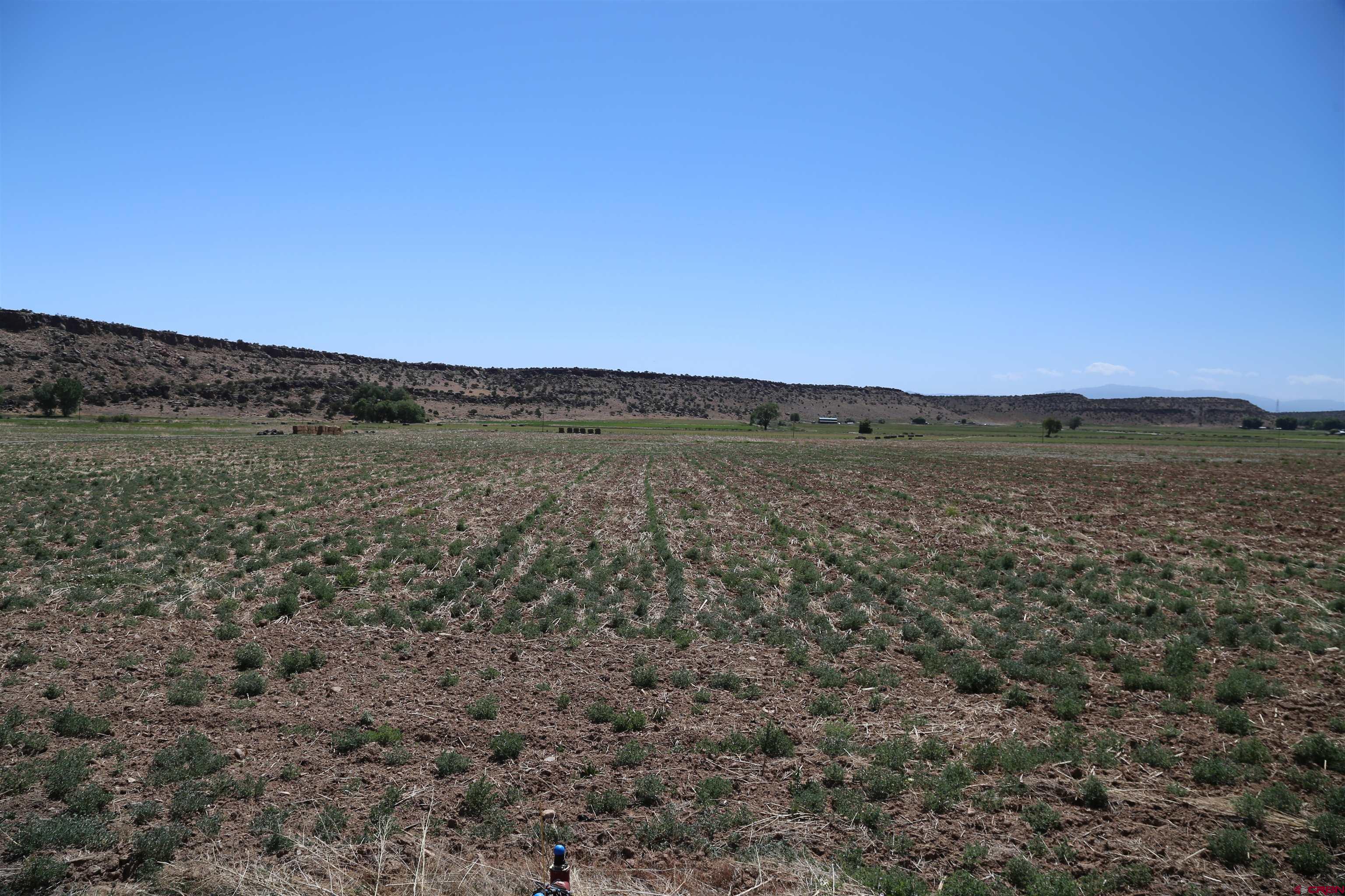 Tbd Shavano Valley Road Montrose, CO 81401 - Photo 5 of 7 a view of a field with an ocean