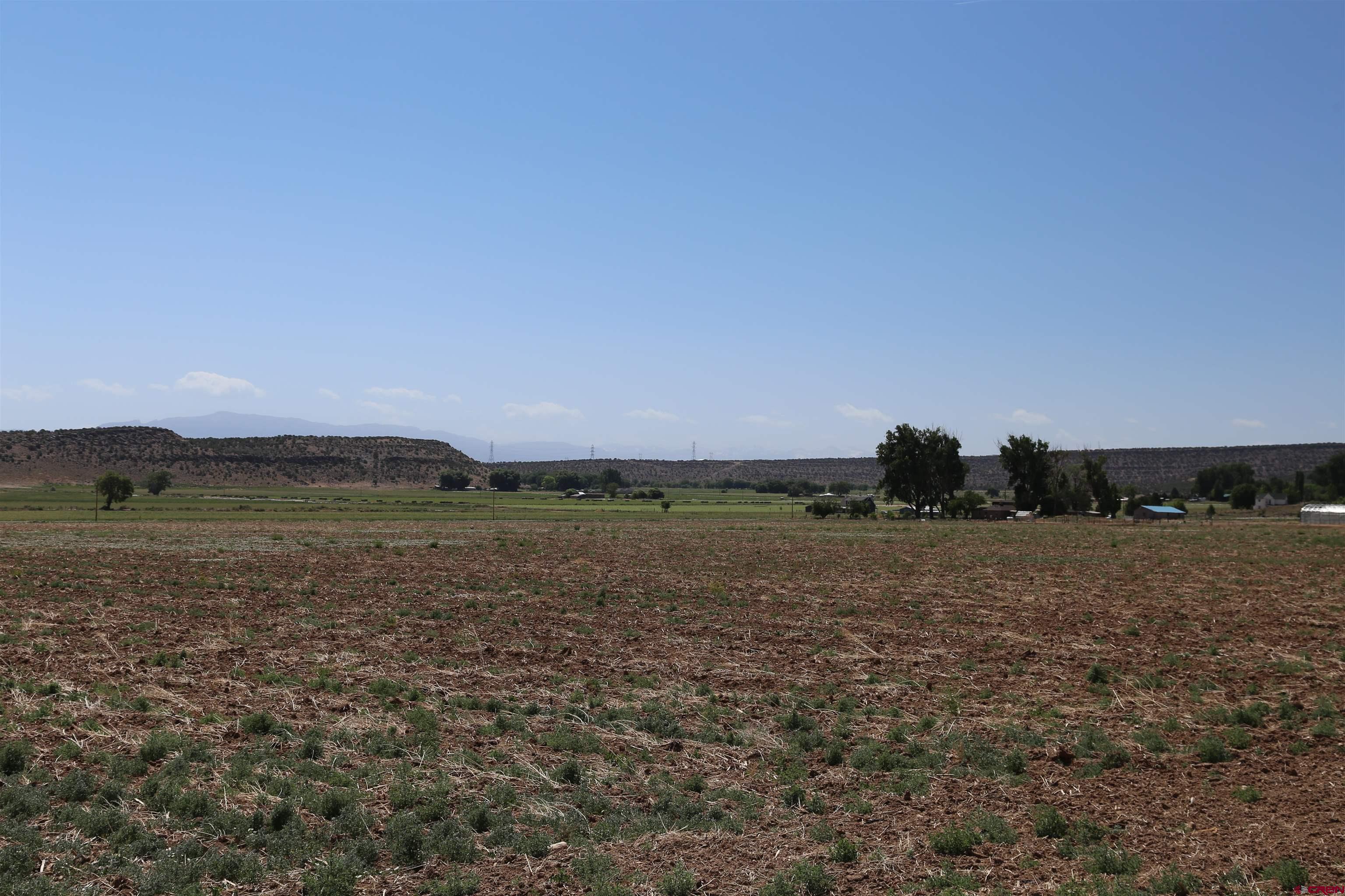 Tbd Shavano Valley Road Montrose, CO 81401 - Photo 6 of 7 a view of a field with an ocean