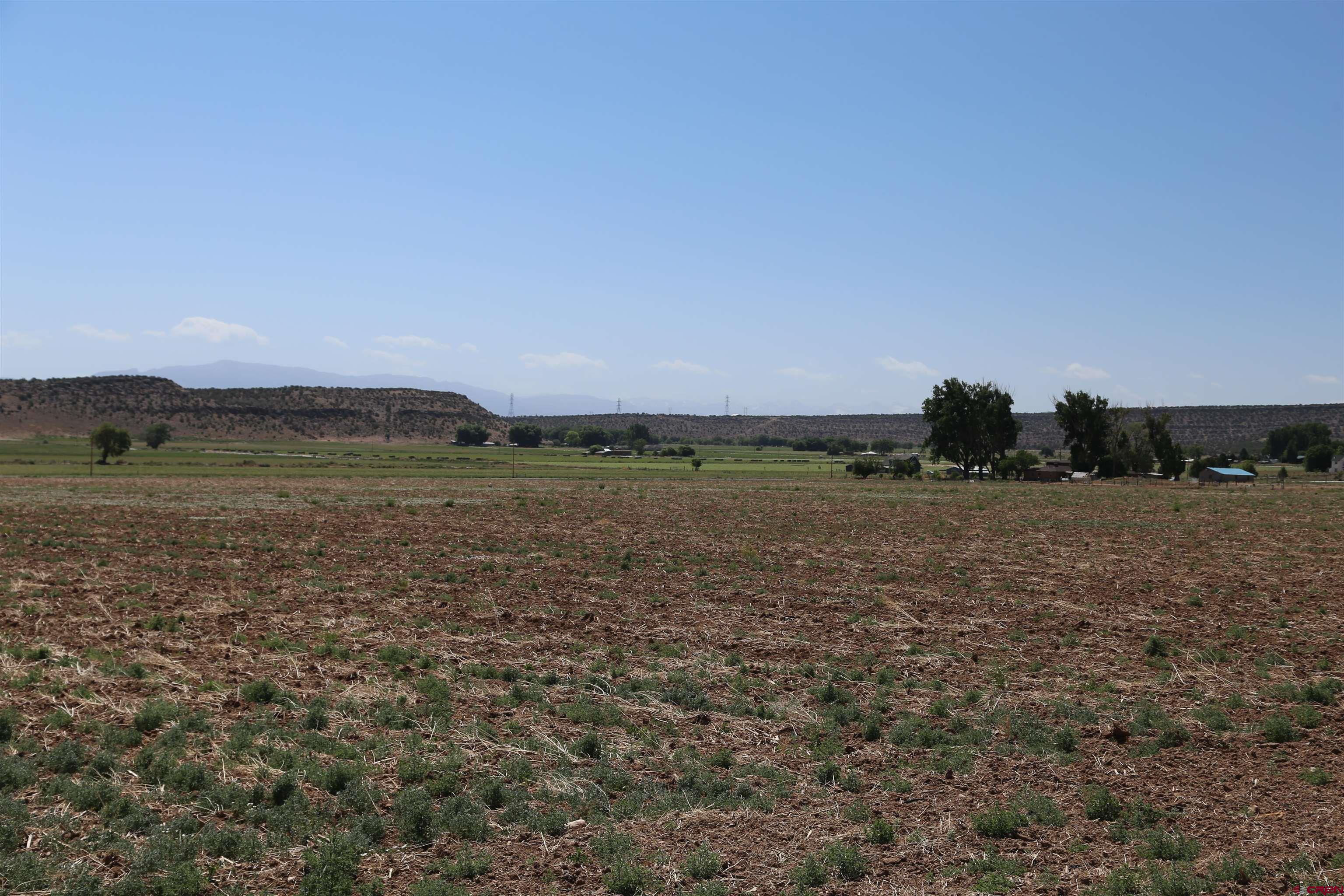Tbd Shavano Valley Road Montrose, CO 81401 - Photo 7 of 7 a view of a field with trees in background