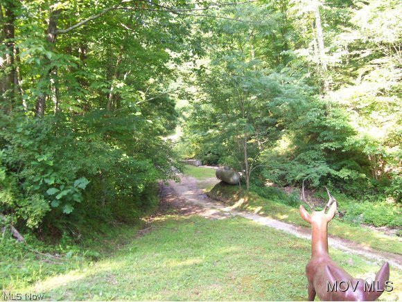 76 G Rt 3 Elizabeth, WV 26143 - Photo 5 of 10
