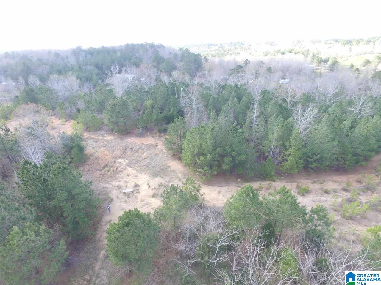 3111 Jackson Road, Unit 75 ACRES Pinson, AL 35126 - Photo 4 of 16