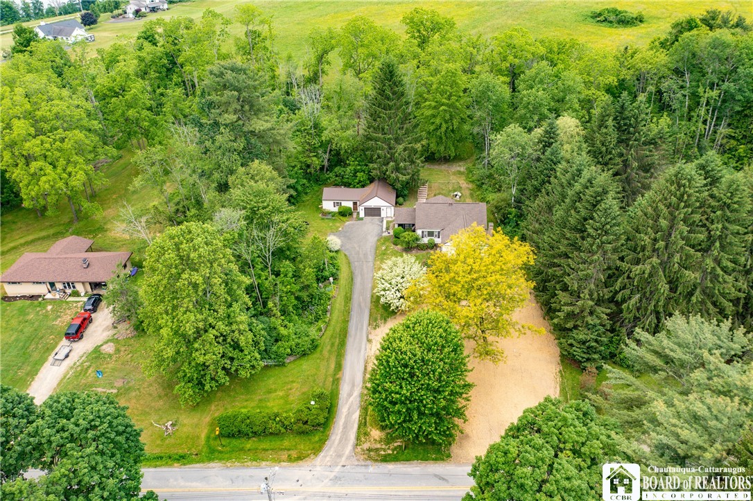 3467 Belleview Road Bemus Point, NY 14712 - Photo 5 of 48