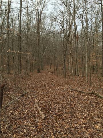 6013 Beech Hill Road Pegram, TN 37143 - Photo 2 of 4 Gallery Image 2