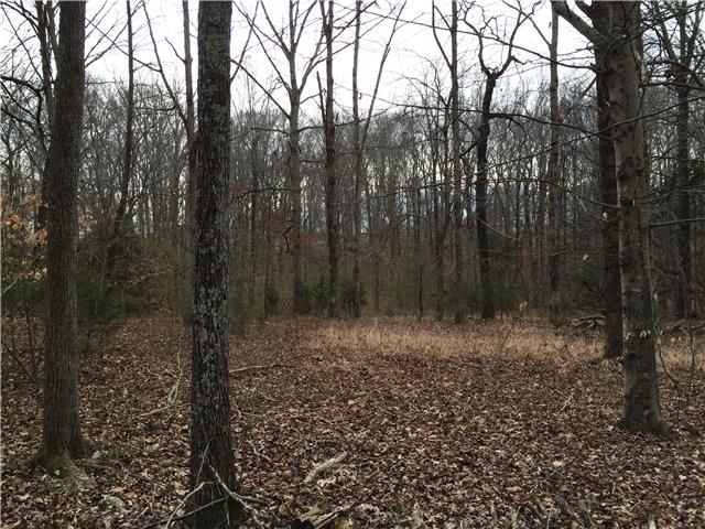 6013 Beech Hill Road Pegram, TN 37143 - Photo 4 of 4 Gallery Image 4