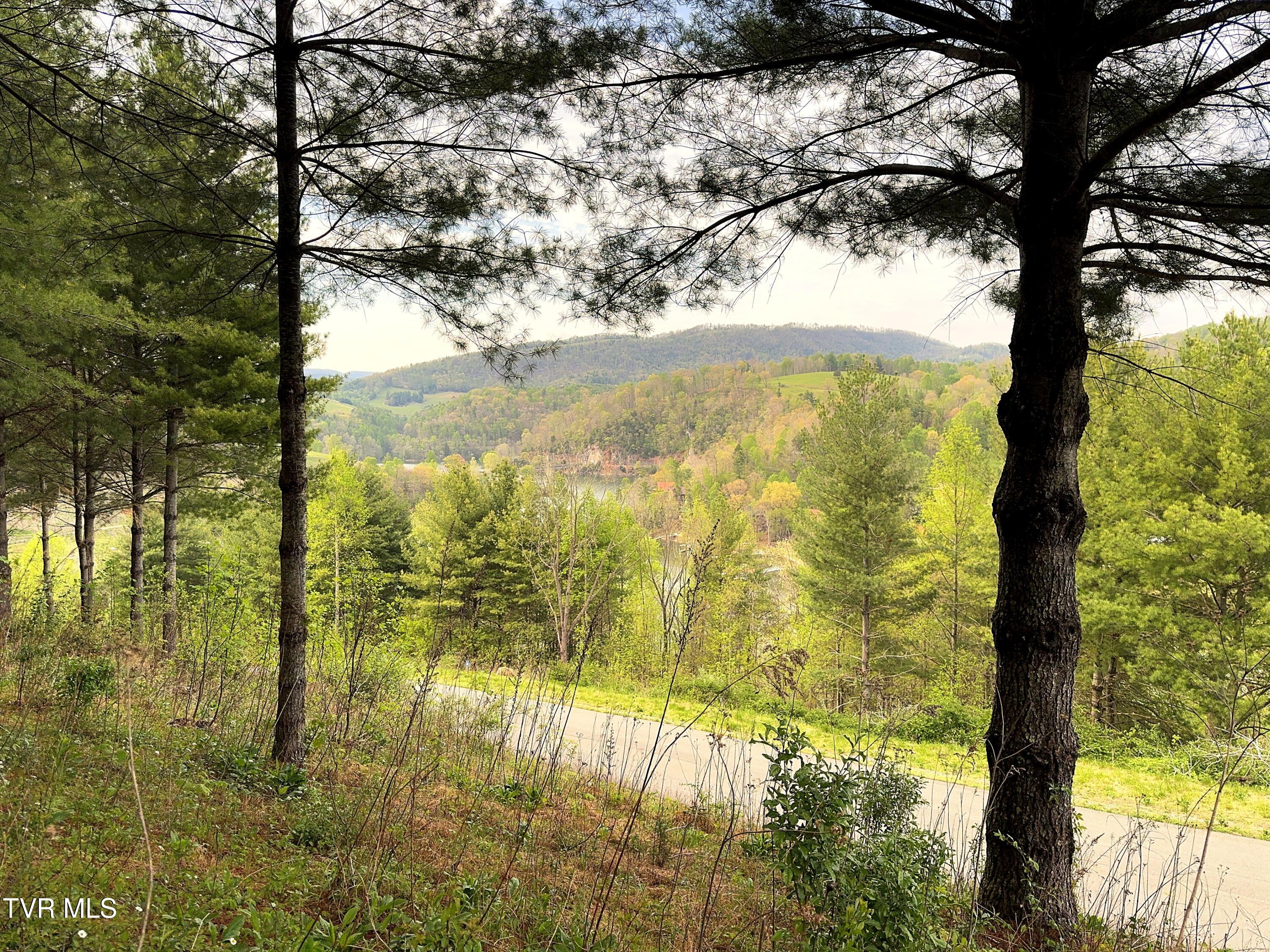 Lot 11 Cowan Town Road, Unit 11 Butler, TN 37640 - Photo 8 of 41 Lot 11 (4)
