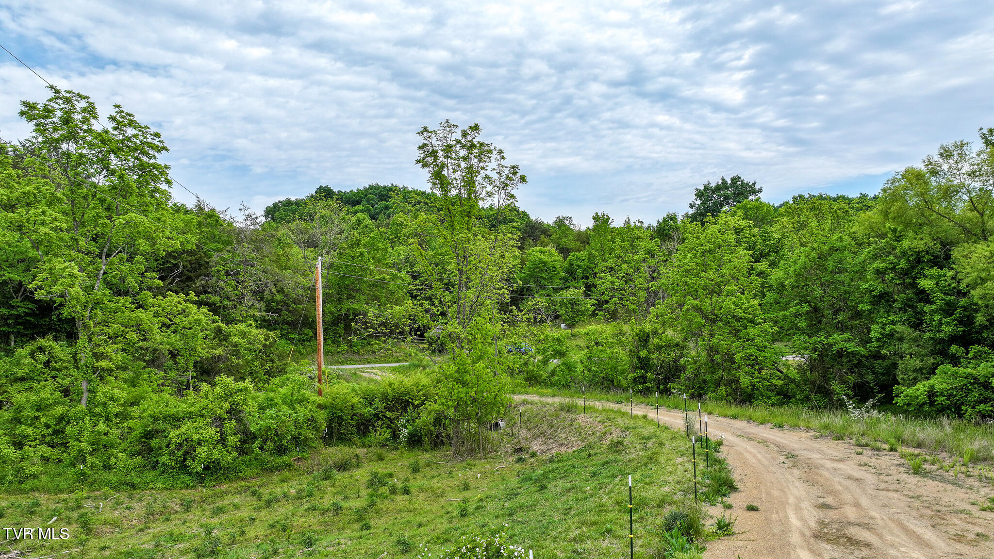 Lot 0 Hilldale Road Midway, TN 37809 - Photo 8 of 17 Land