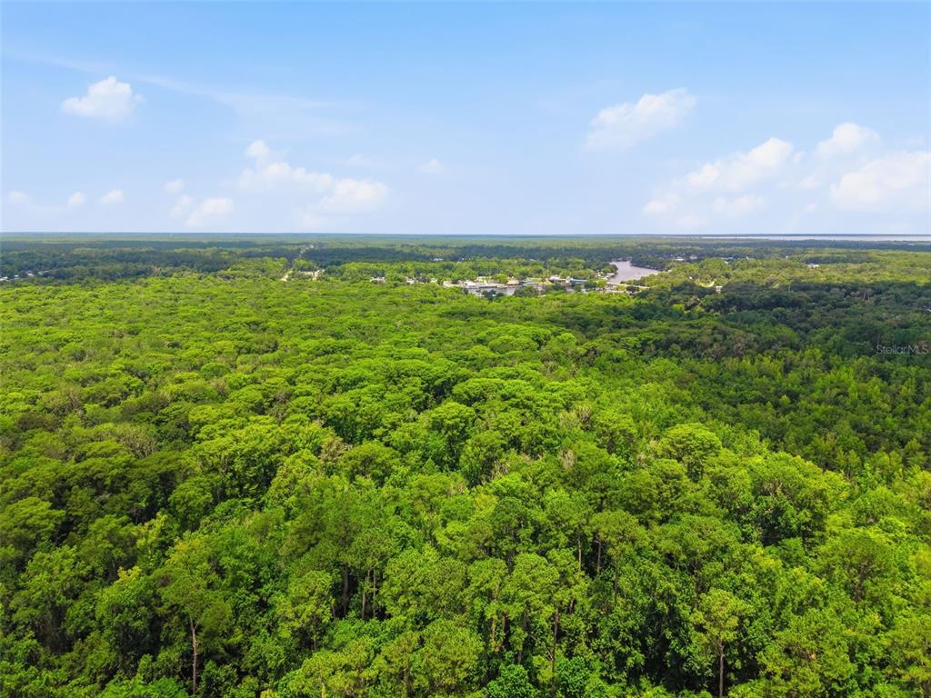 2140 St Johns River Road Astor, FL 32102 - Photo 22 of 36 a view of a city