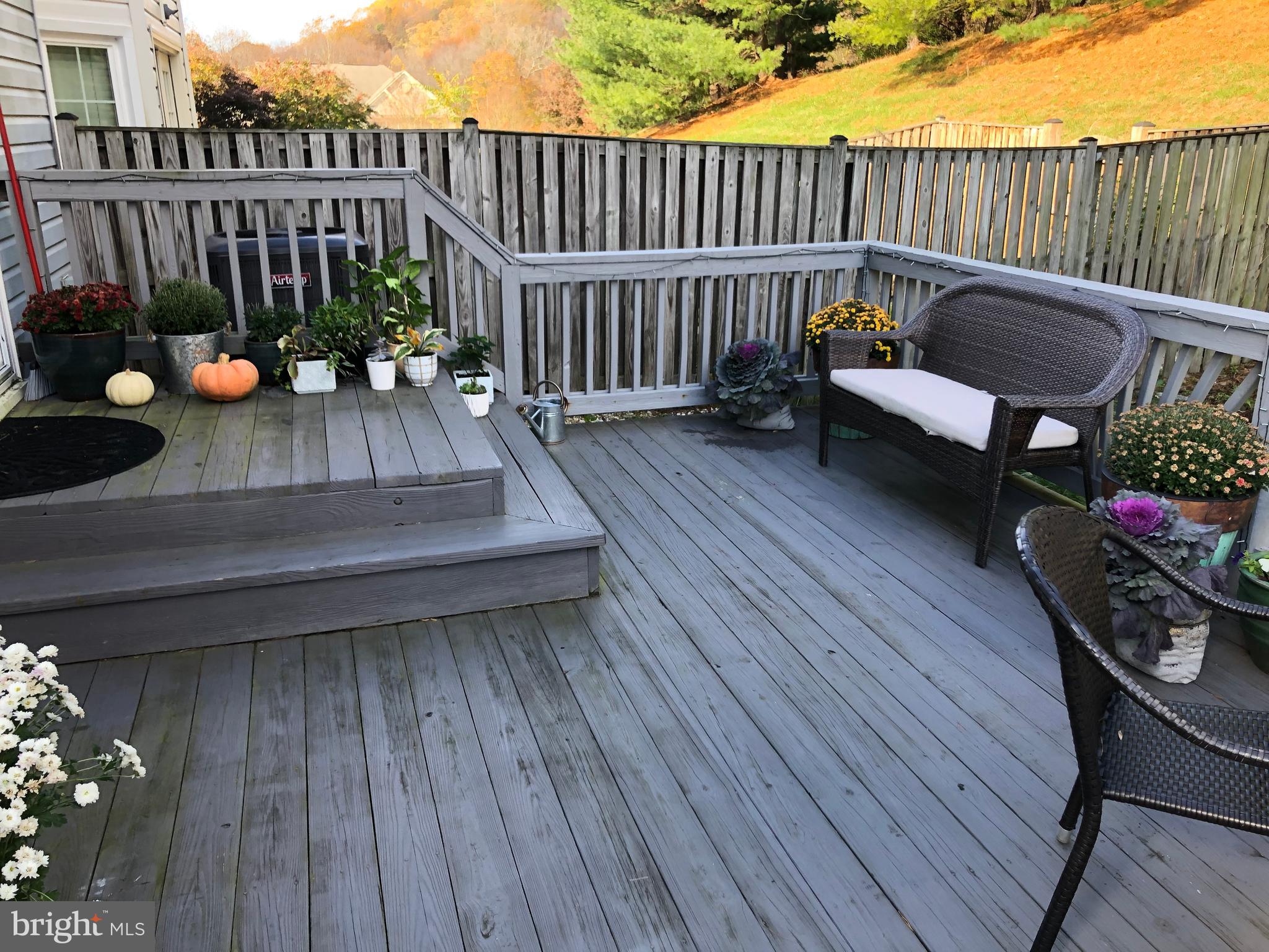 6665 Harbor Light Way New Market, MD 21774 - Photo 7 of 34 Large Deck