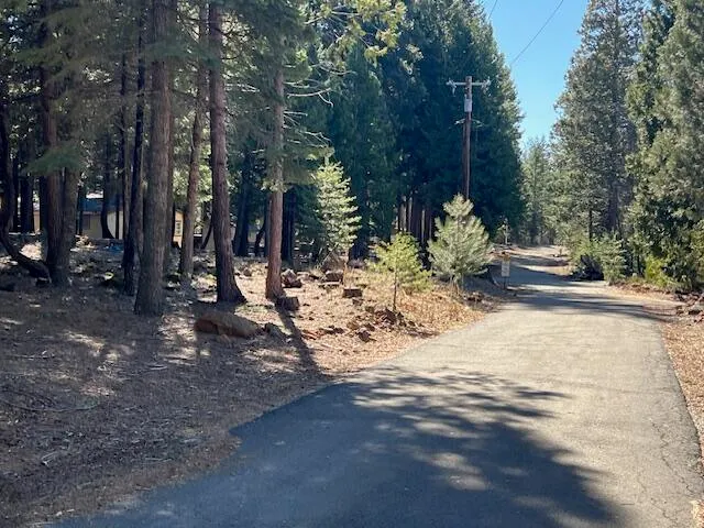 a view of a yard with trees