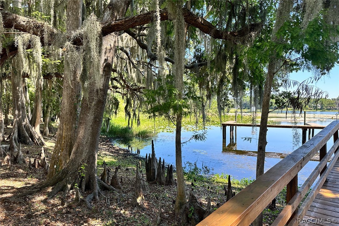 800 Balmoral Court Inverness, FL 34453 - Photo 71 of 72 a view of outdoor space with seating area