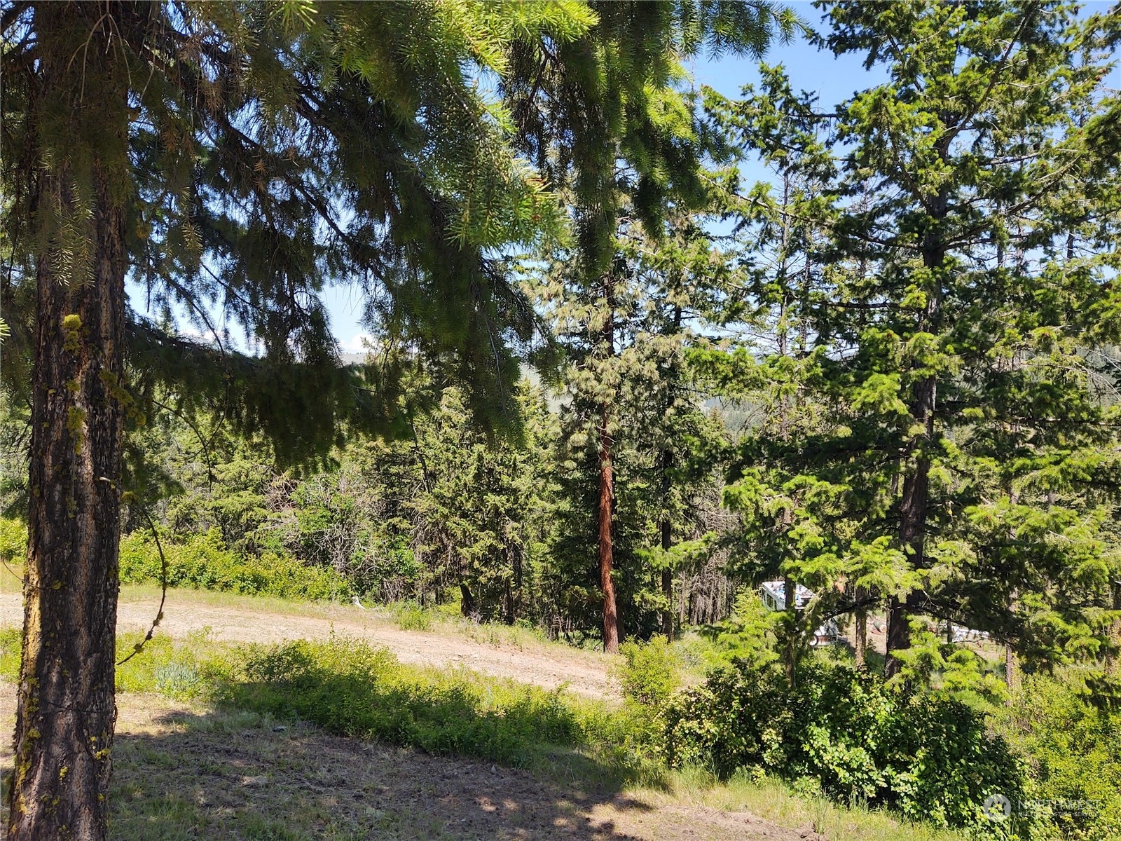 3569 Cedonia-Addy Road, Unit B Hunters, WA 99137 - Photo 16 of 22