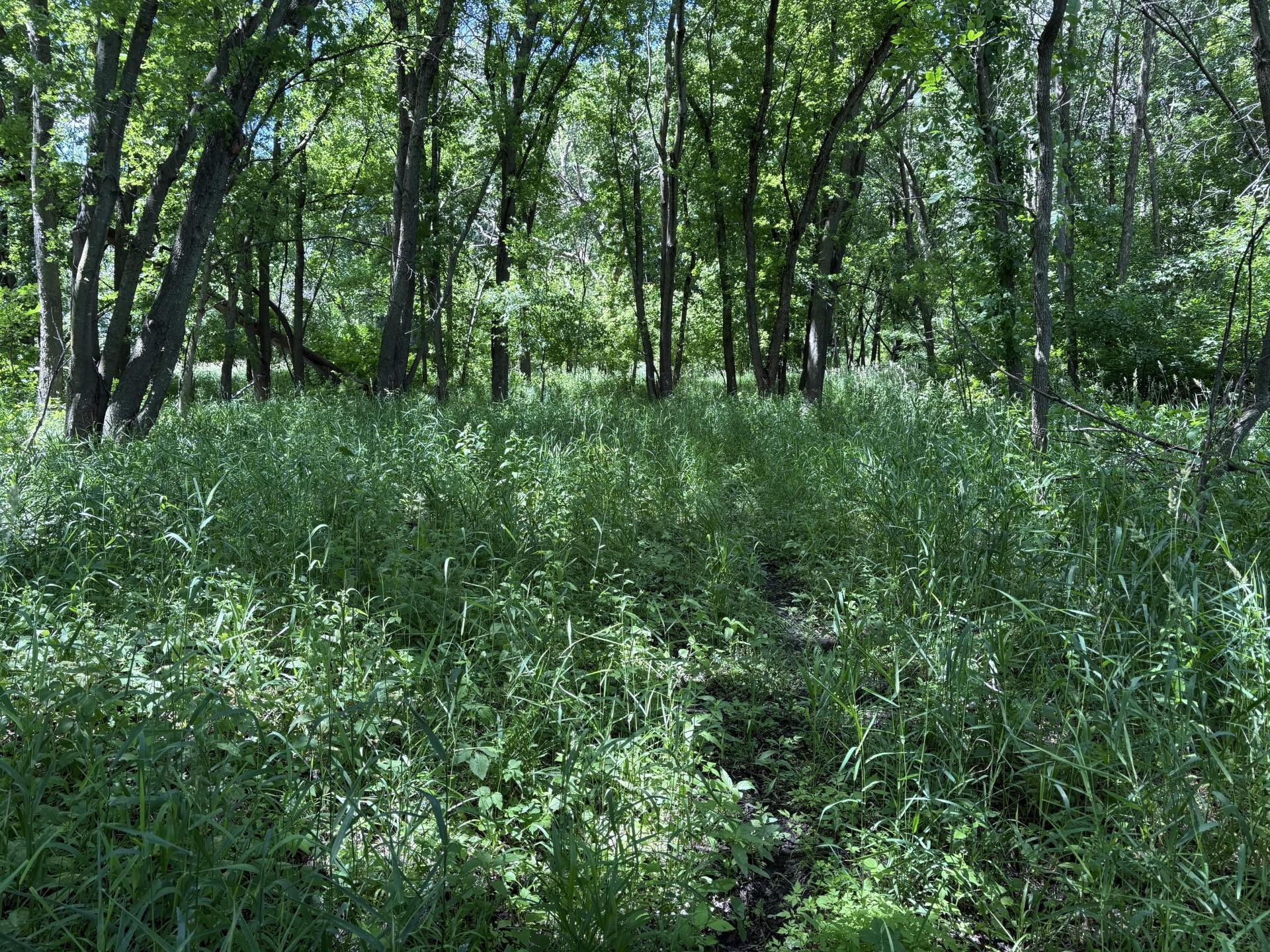 Tbd Base Line Road Northfield, MN 55057 - Photo 19 of 51
