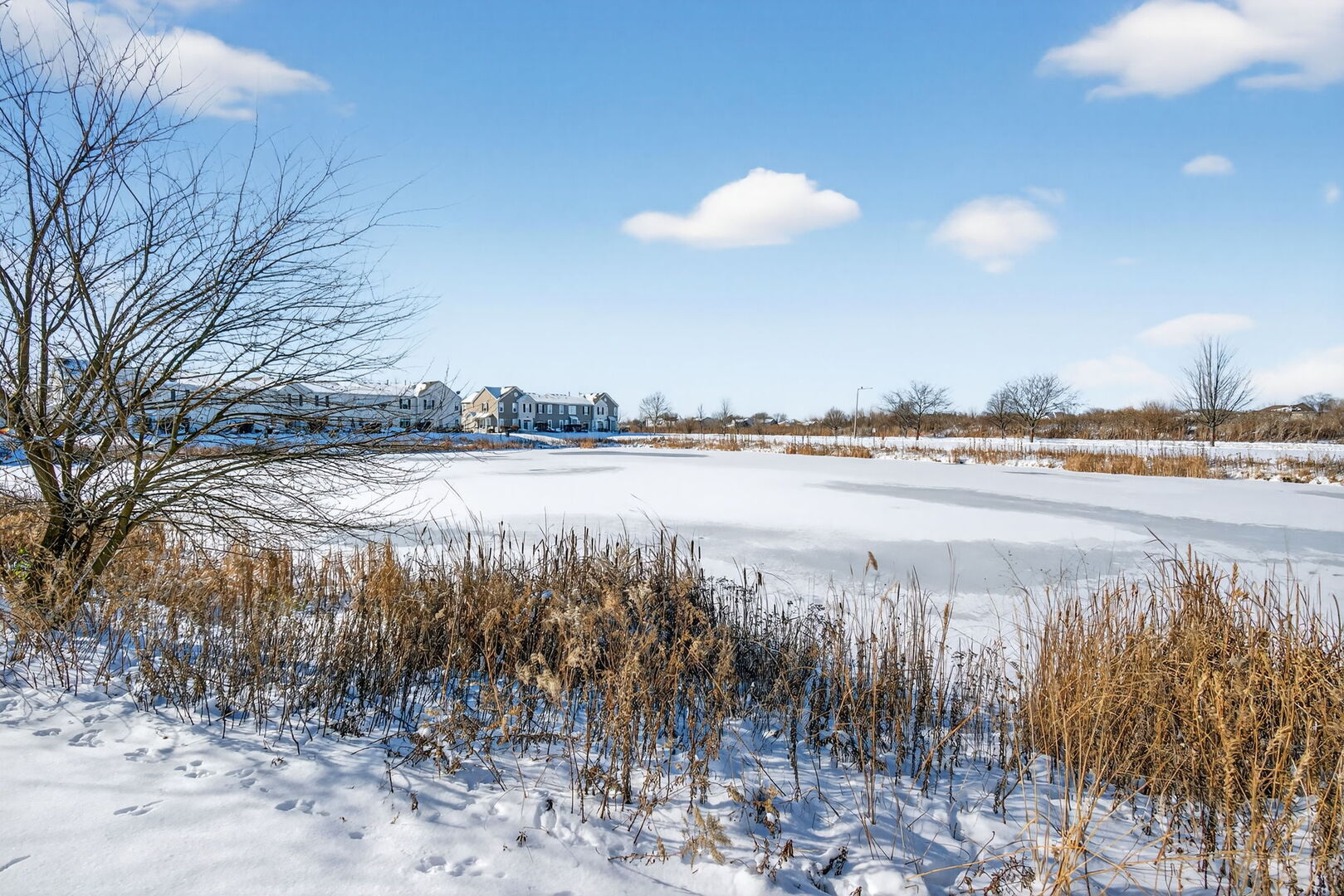 15238 Kenmare Circle Manhattan, IL 60442 - Photo 26 of 29 a view of a lake from a yard