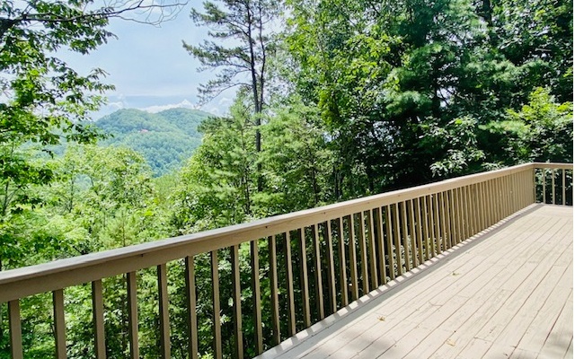 1207 Cardinal Road Murphy, NC 28906 - Photo 5 of 22 Additional View