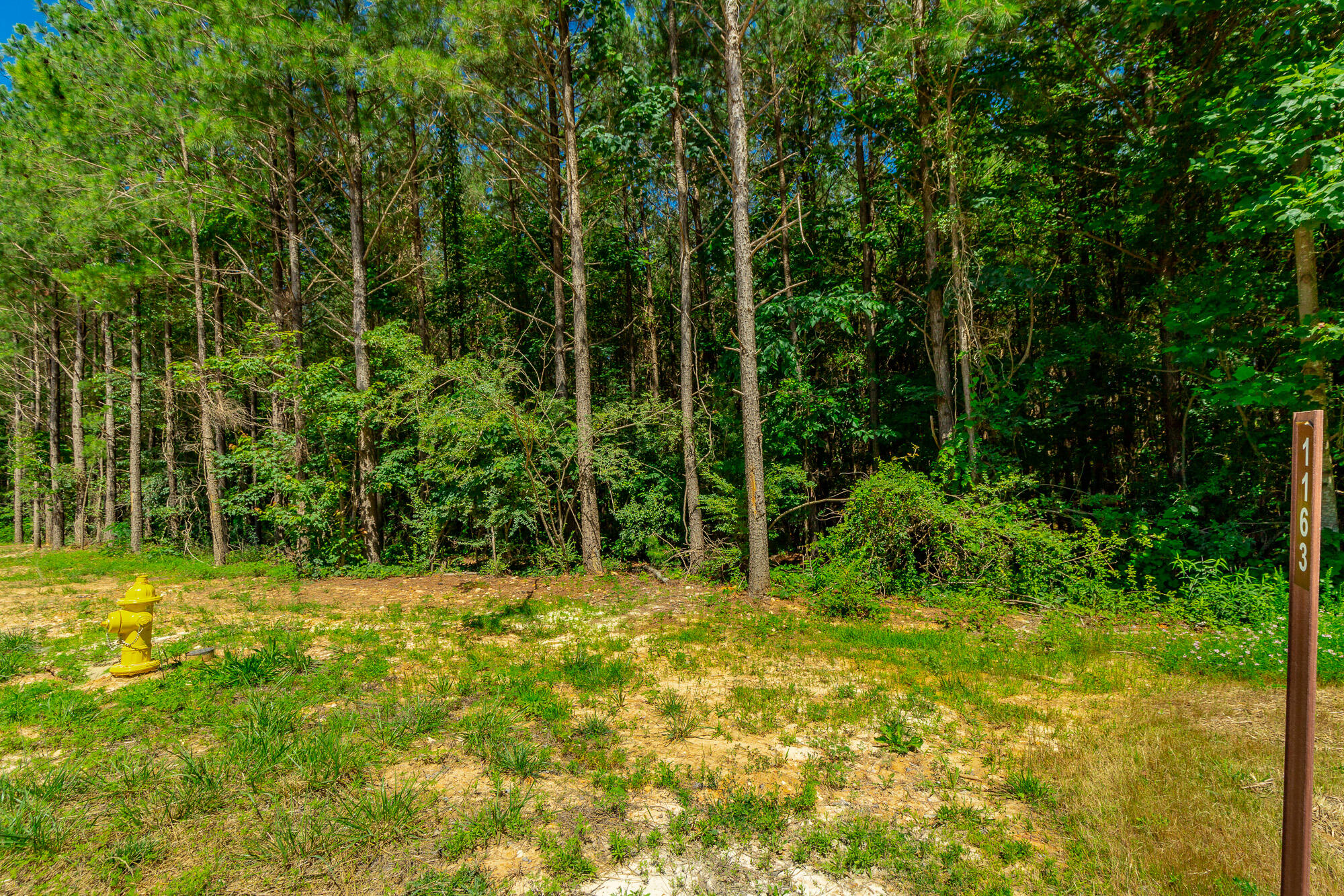 0 Split Rail Way, Unit LOT 1163 Guild, TN 37340 - Photo 17 of 118 River Gorge Lot 1163 HD-11